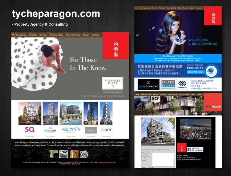 Tyche Paragon Website
